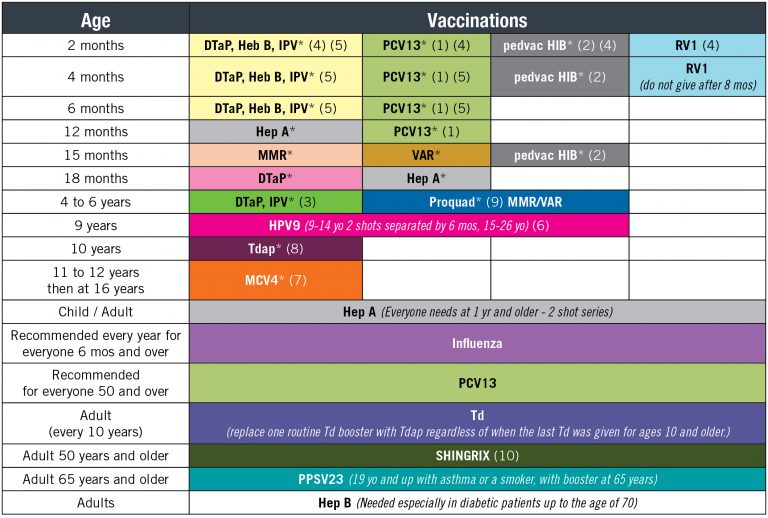 Adult Immunization Schedule Chart