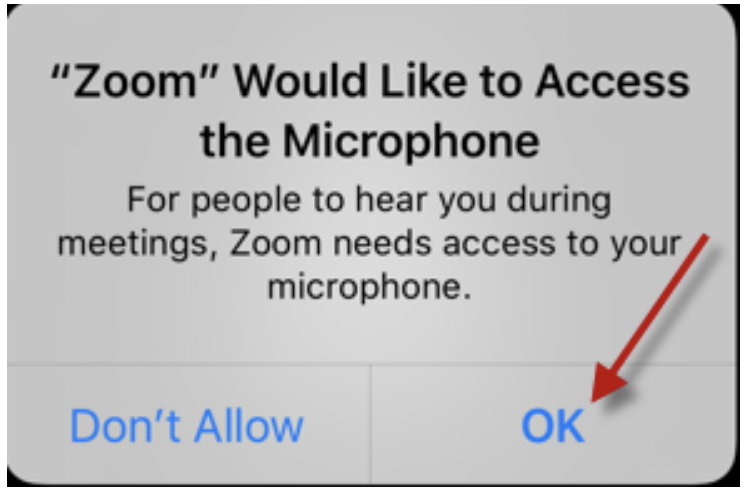 Virtual Care Visit Instructions: Zoom Access To Microphone