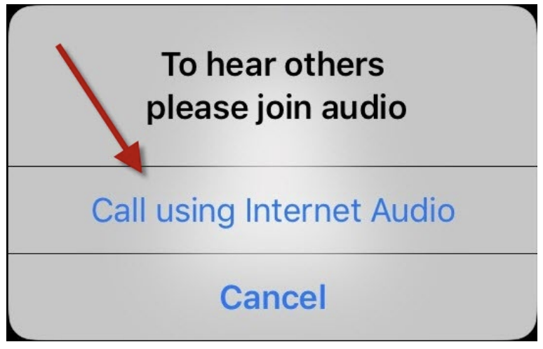 Virtual Care Visit Instructions: Call using Internet Audio